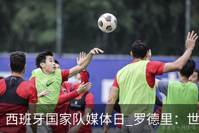 西班牙国家队媒体日 罗德里：世界杯后才会考虑未来